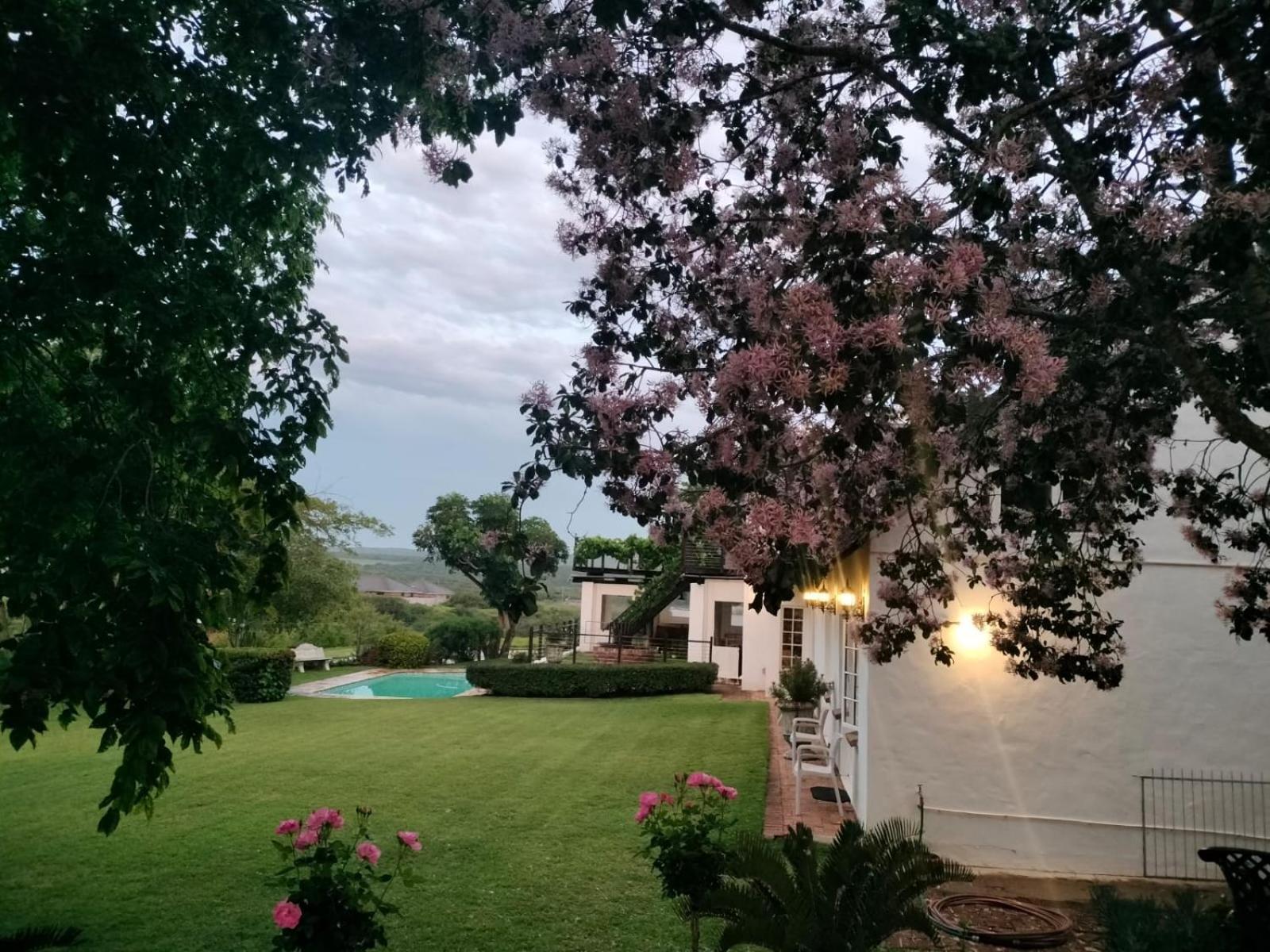 Little Tree Loft 2 Bed & Breakfast Uitenhage Екстериор снимка